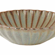 Astera ocean schaaltje